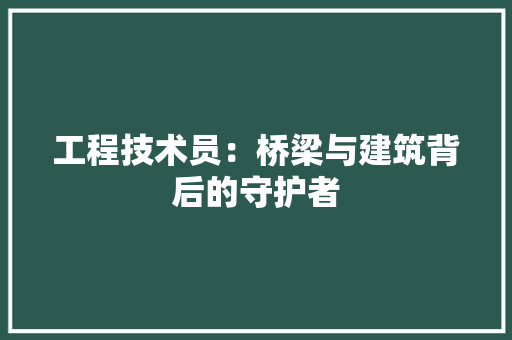 工程技术员：桥梁与建筑背后的守护者 现代风格装饰
