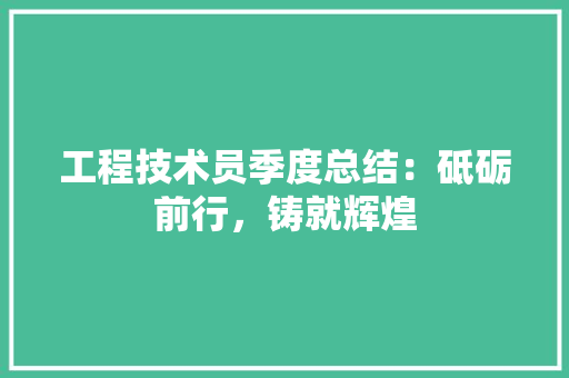 工程技术员季度总结：砥砺前行，铸就辉煌 现代风格装饰