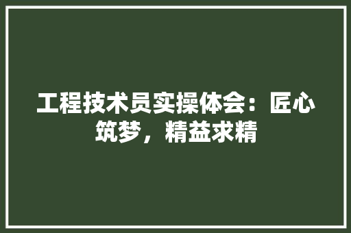 工程技术员实操体会：匠心筑梦，精益求精 现代风格装饰