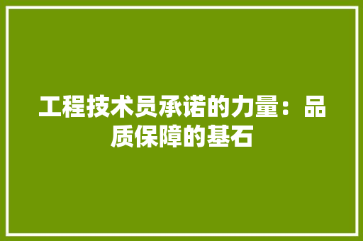 工程技术员承诺的力量：品质保障的基石 现代风格装饰