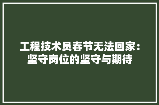 工程技术员春节无法回家：坚守岗位的坚守与期待 现代风格装饰
