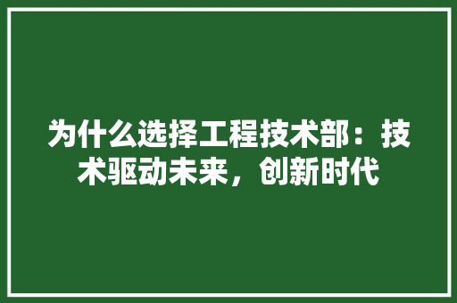 为什么选择工程技术部：技术驱动未来，创新时代 家居装修