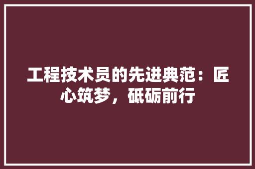 工程技术员的先进典范：匠心筑梦，砥砺前行 现代风格装饰
