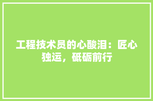 工程技术员的心酸泪：匠心独运，砥砺前行 现代风格装饰