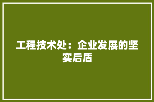 工程技术处：企业发展的坚实后盾 现代风格装饰