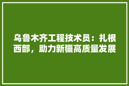 乌鲁木齐工程技术员：扎根西部，助力新疆高质量发展 家居装修