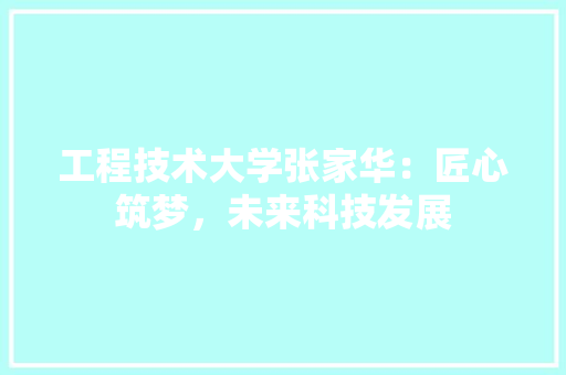 工程技术大学张家华：匠心筑梦，未来科技发展 现代风格装饰