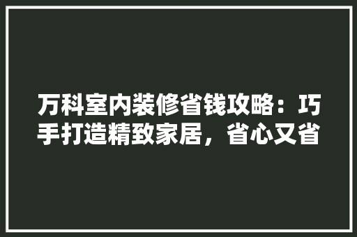 万科室内装修省钱攻略：巧手打造精致家居，省心又省力 软装设计