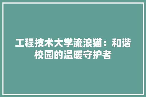 工程技术大学流浪猫：和谐校园的温暖守护者 现代风格装饰