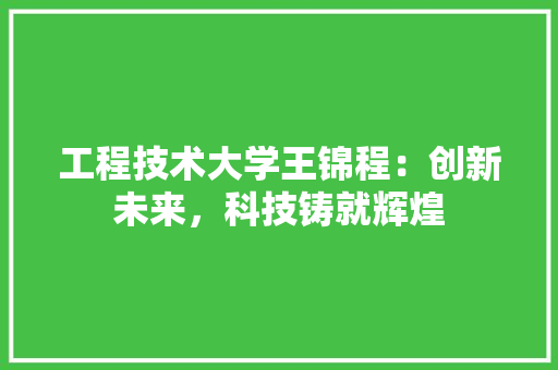 工程技术大学王锦程：创新未来，科技铸就辉煌 现代风格装饰