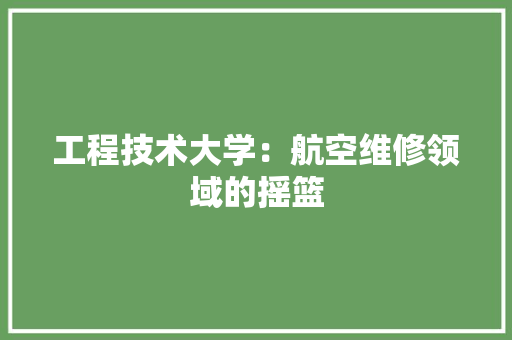 工程技术大学：航空维修领域的摇篮 现代风格装饰