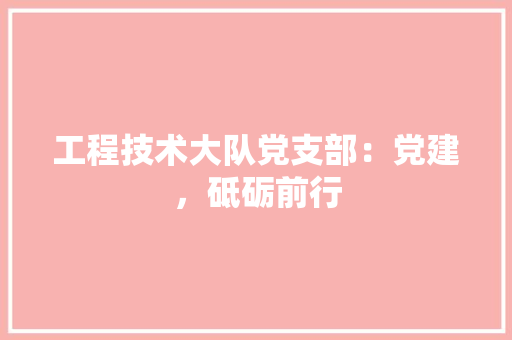工程技术大队党支部：党建，砥砺前行