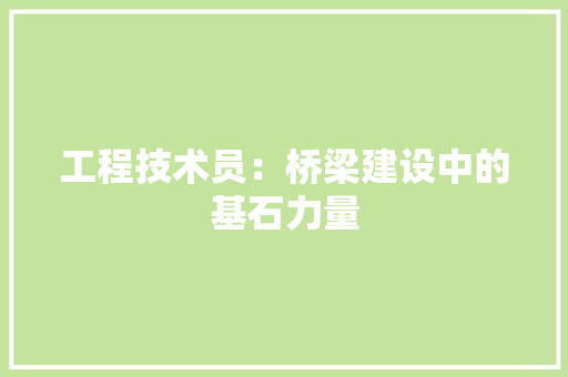 工程技术员：桥梁建设中的基石力量 现代风格装饰