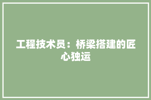 工程技术员：桥梁搭建的匠心独运 现代风格装饰