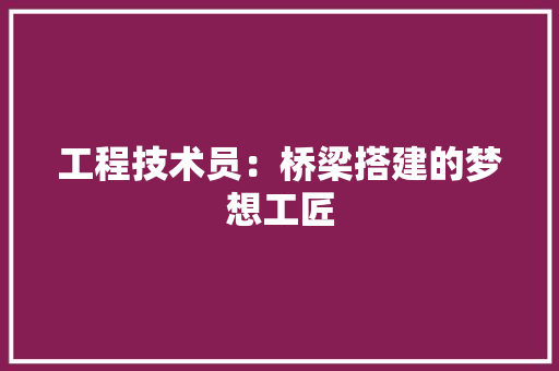 工程技术员：桥梁搭建的梦想工匠 现代风格装饰