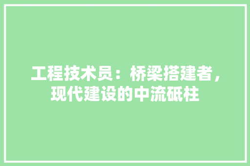 工程技术员：桥梁搭建者，现代建设的中流砥柱 现代风格装饰