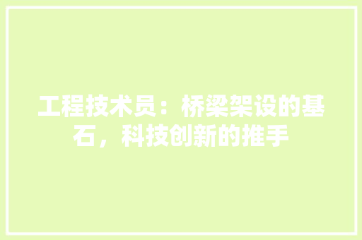 工程技术员：桥梁架设的基石，科技创新的推手 现代风格装饰