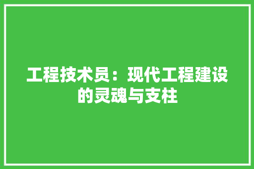 工程技术员：现代工程建设的灵魂与支柱 现代风格装饰