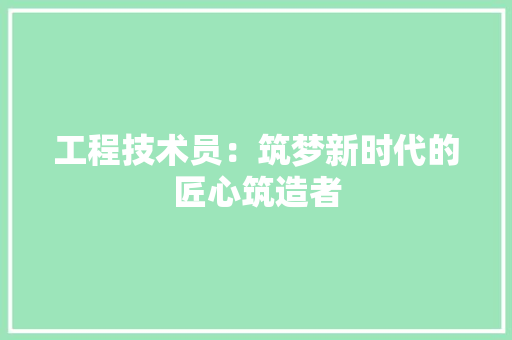 工程技术员：筑梦新时代的匠心筑造者 现代风格装饰