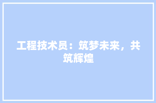 工程技术员：筑梦未来，共筑辉煌 现代风格装饰
