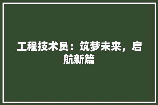 工程技术员：筑梦未来，启航新篇 现代风格装饰