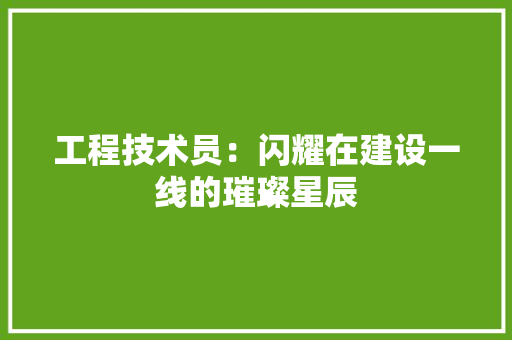 工程技术员：闪耀在建设一线的璀璨星辰 现代风格装饰