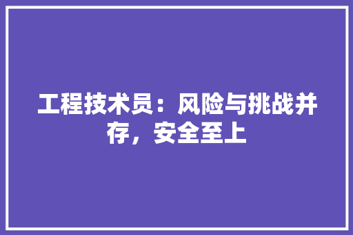 工程技术员：风险与挑战并存，安全至上 现代风格装饰
