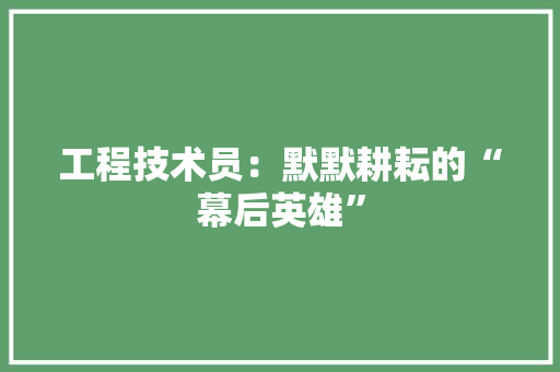 工程技术员：默默耕耘的“幕后英雄” 现代风格装饰