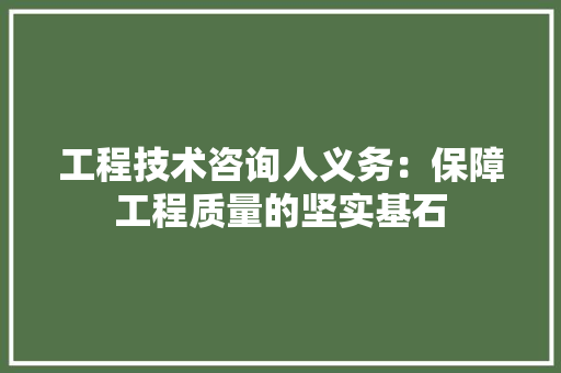 工程技术咨询人义务：保障工程质量的坚实基石 现代风格装饰