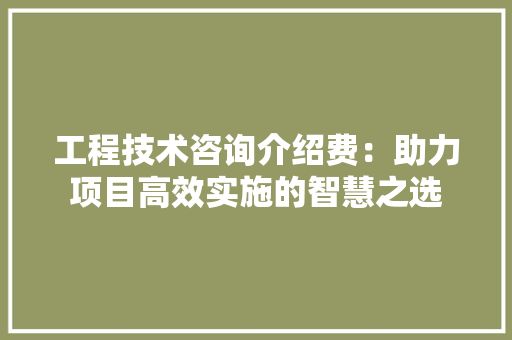 工程技术咨询介绍费：助力项目高效实施的智慧之选 现代风格装饰