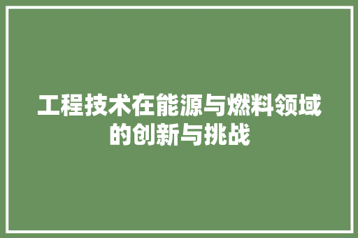 工程技术在能源与燃料领域的创新与挑战 现代风格装饰