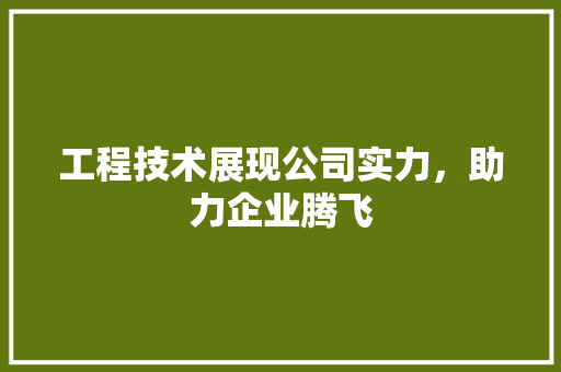 工程技术展现公司实力，助力企业腾飞