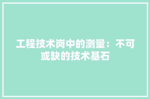 工程技术岗中的测量：不可或缺的技术基石