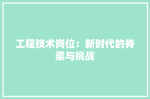 工程技术岗位：新时代的脊梁与挑战 现代风格装饰