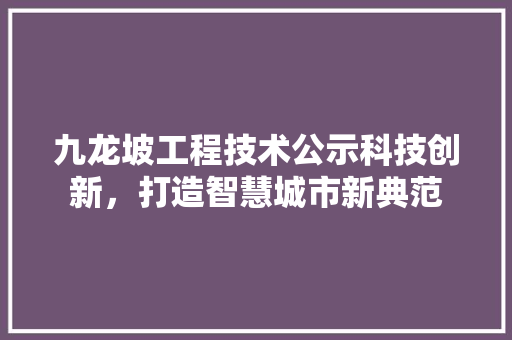九龙坡工程技术公示科技创新，打造智慧城市新典范 家居装修