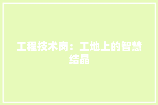 工程技术岗：工地上的智慧结晶 现代风格装饰
