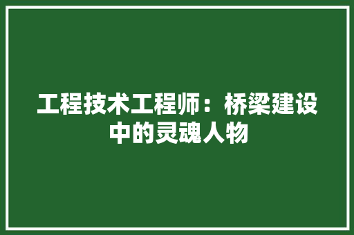 工程技术工程师：桥梁建设中的灵魂人物 现代风格装饰