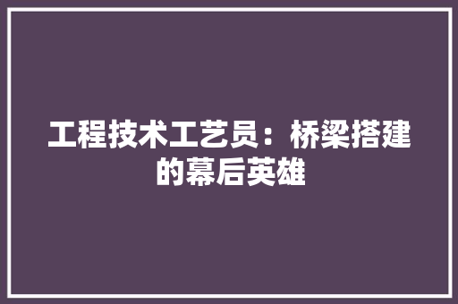 工程技术工艺员：桥梁搭建的幕后英雄 现代风格装饰