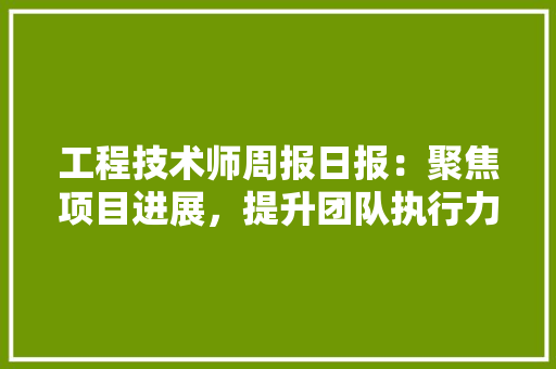 工程技术师周报日报：聚焦项目进展，提升团队执行力 现代风格装饰