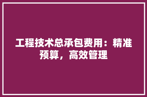 工程技术总承包费用：精准预算，高效管理 现代风格装饰