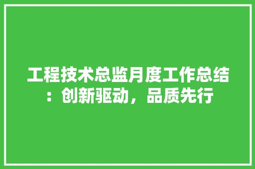工程技术总监月度工作总结：创新驱动，品质先行