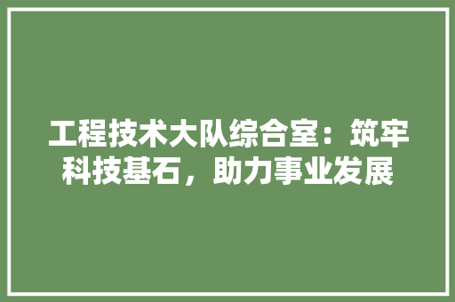 工程技术大队综合室：筑牢科技基石，助力事业发展 现代风格装饰