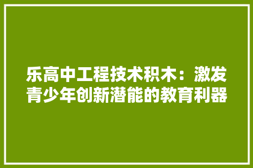 乐高中工程技术积木：激发青少年创新潜能的教育利器 家居装修