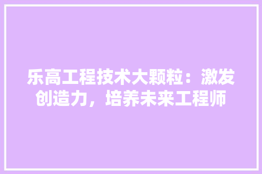 乐高工程技术大颗粒：激发创造力，培养未来工程师