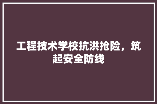 工程技术学校抗洪抢险，筑起安全防线 现代风格装饰