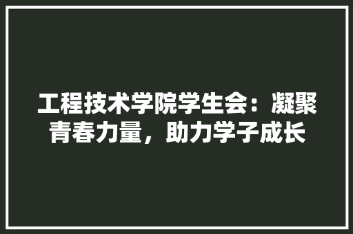 工程技术学院学生会：凝聚青春力量，助力学子成长 现代风格装饰