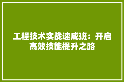 工程技术实战速成班：开启高效技能提升之路