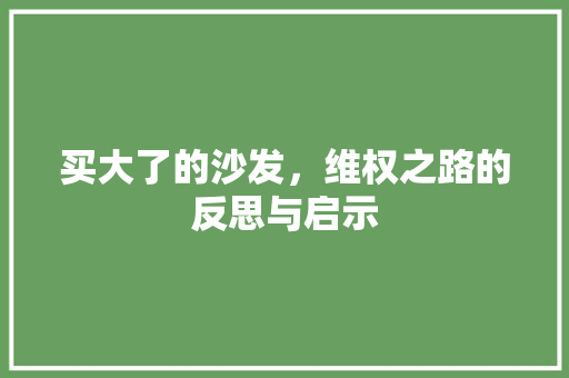 买大了的沙发，维权之路的反思与启示 家居装修
