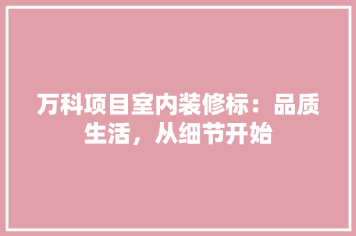 万科项目室内装修标：品质生活，从细节开始 软装设计
