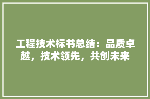 工程技术标书总结：品质卓越，技术领先，共创未来 现代风格装饰